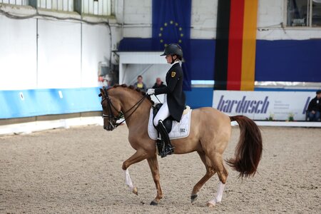 Ann-Cathrin Rieg und Steendieks Derrick siegten in der DERBY Stars von Morgen-Qualifikation von Brünst. | © D. Matthaes (Archiv)
