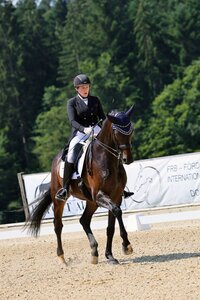 Sabrina Pauker und Cinnamon trabten in Chieming-Hart zum S**-Sieg. | © Dill