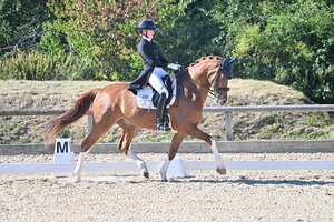 Dwayn und Emily Meyer-Piening konnten in Thann gleich zweimal siegen. | © Dill