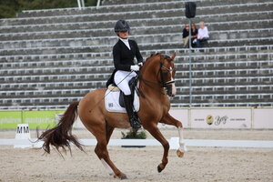 Ann-Cathrin Rieg und Steendieks Derrick schnappten sich den Sieg in der S***-Dressur. | © D. Matthaes