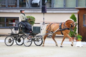 Schamu M auf dem Weg zum Titel  | © Brit Placzek