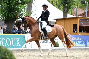 Franz Trischberger und Zaubermann trabten im Finale der siebenjährigen Dressurpferde zu Platz vier. | © Mirka Nilkens