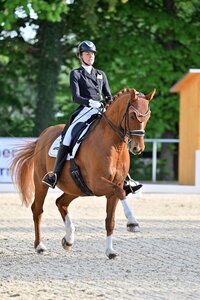 FBW Dory's Dream und Kristina Olson traben zum S**-Sieg. | © Dill