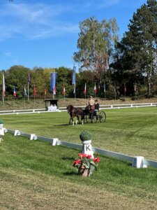 In München-Riem am Start: Andrew Marcoux und Loretta | © BRFV
