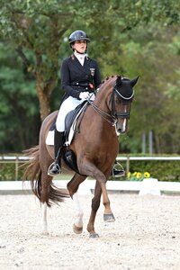 Josephine Ruppert und DSP Bella Donna sicherten sich Silber bei den Jungen Reitern. | © Mirka Nilkens