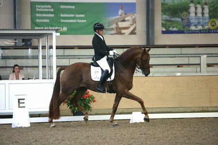 Franz Trischberger mit Zewano OLD | © D. Matthaes