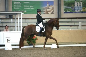 Franz Trischberger mit Zewano OLD | © D. Matthaes