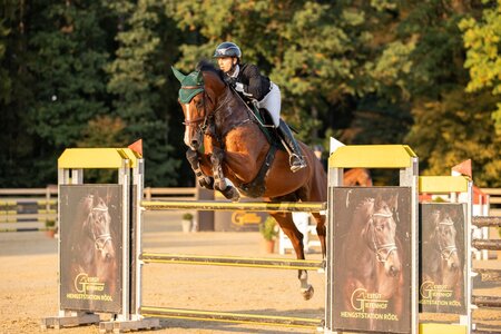 Kaloyan Dobrev gewinnt mit Bella D'Or das S-Springen auf dem Tiefenhof.  | © Nina Münch 