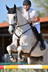 Michael Viehweg und Cartal sprangen in Gorla Minore zu mehreren Platzierungen | © Dill (Archiv)