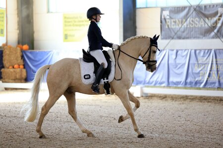 Hannah Henrich und What a Beauty schaffen es in die Top10 beim Bundesnachwuchschampionat.  | © Dill (Archiv)