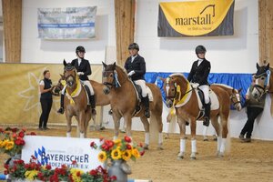 In München-Riem fanden die internationalen Meisterschaften der Haflinger- und Edelbluthaflinger statt. | © Dill