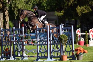 Michael Viehweg und Hengst Contario reiten unter anderem auf Rang zwei in San Giovanni | © Dill (Archiv)