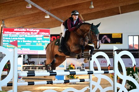Top unterwegs: Lena-Marie Kraus in der Olympia-Reithalle, hier mit Quadro van't Buxushof | © Dill