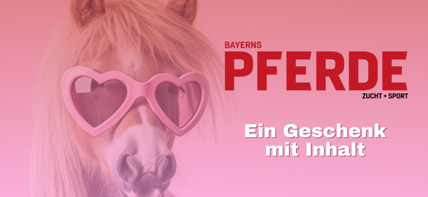 Reiterjournal Special